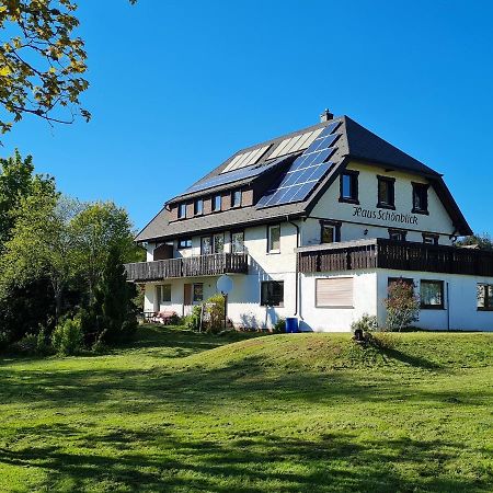 Haus Schonblick Lejlighed Kniebis Eksteriør billede