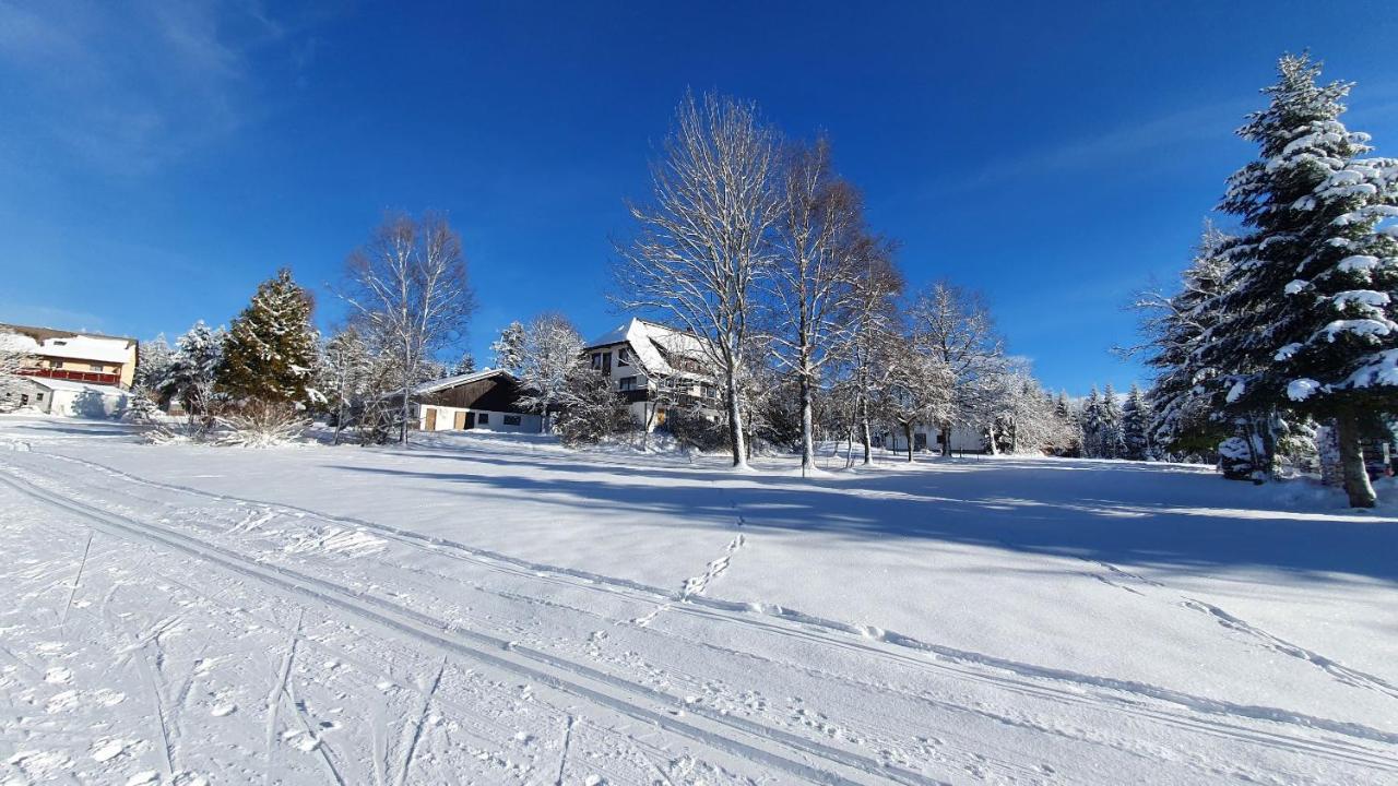 Haus Schoenblick Kniebis Eksteriør billede