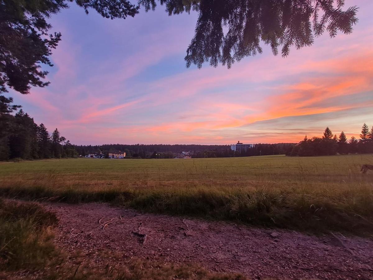 Haus Schonblick Lejlighed Kniebis Eksteriør billede