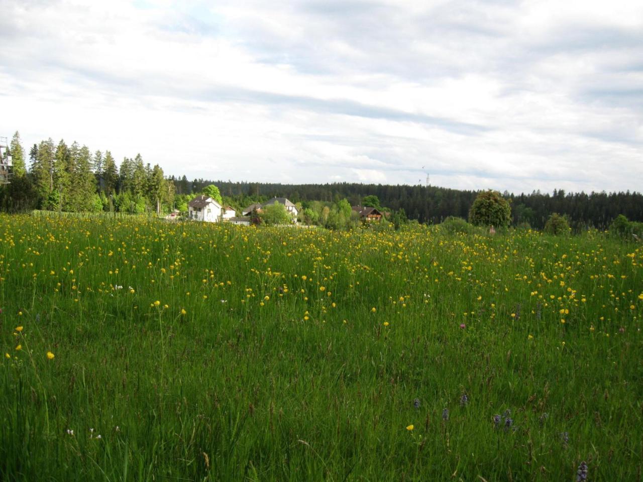 Haus Schoenblick Kniebis Eksteriør billede